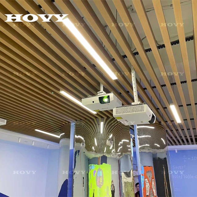 HOVY2K Interactive Immersive Experience Projector Game 3D Holographic Projection System Equipment School Installation