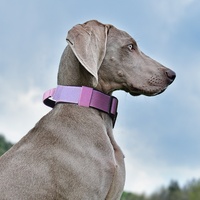 Beliebtes Taktisches Hundehalsband Anti-Zug Stoßfest Robustes Halsband für Mittelgroße und Große Hunde Outdoor-Spaziergänge und Training