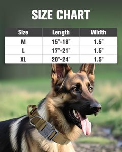 Laisse personnalisée OEM de luxe avec logo personnalisé, collier vierge réglable pour chien en nylon uni - Product Image 5