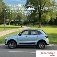 Véhicule électrique à énergie nouvelle modèle 2026 avec climatisation, véhicule électrique à basse vitesse pour adultes à usage domestique