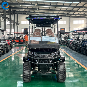 ราคาโรงงานโดยตรง รถ EEC ใกล้ฉัน รถกอล์ฟที่ดีที่สุด รถไฟฟ้าที่ถูกกฎหมายบนท้องถนนพร้อมพื้นที่กว้างขวาง - Product Image 6