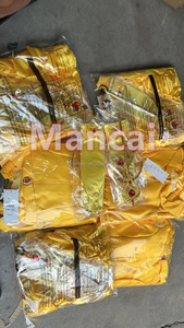 Niños Niñas Princesa Ropa Carnaval Cosplay Fantasía Halloween Navidad Adultos Niños <span class=keywords><strong>Bella</strong></span> <span class=keywords><strong>y</strong></span> <span class=keywords><strong>Bestia</strong></span> <span class=keywords><strong>Bella</strong></span> Cosplay <span class=keywords><strong>Disfraz</strong></span> - Product Image 6
