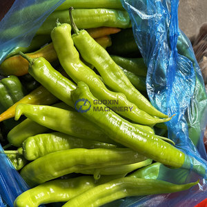 Línea de Producción Continua de Pimientos Verdes Fritos, Máquina para Freír Chiles, Línea de Procesamiento de Pimientos Verdes Fritos - Product Image 2