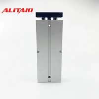 Cylindre ALITAIR série TN, cylindre à double tige standard, double cylindre pneumatique en acier de petite taille