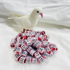 Bagues d'oiseaux FCI, en plastique et en aluminium, <span class=keywords><strong>pour</strong></span> Pigeons, vente en gros/<span class=keywords><strong>2022</strong></span> - Product Image 3