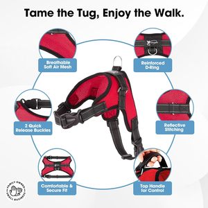 Arnés Ajustable para Perro con Cintas Personalizadas, Diseño Clásico para Exteriores, Asa de Control, Reflectante, de Nailon Sólido - Product Image 2