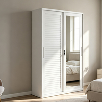 Armoire coulissante en acier embossé à 2 portes, placard métallique moderne pour chambre à coucher, meuble de rangement pour vêtements, organisateur de meubles sur mesure pour la maison