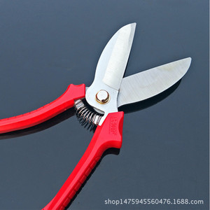 Jiulifeng Heavy Duty Garlic <b>Scissors</b> Stainless Steel 3.5 Blade Big Head Agricultural Use High Carbon Steel Lightweight <b>Kitchen</b> - Product Image 4