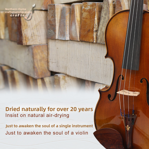 Violon d'étude CHENTUO CT2.1 le mieux noté, fait main, en érable et fibre de carbone, viola universelle multi-styles, table en épicéa massif, face en bois d'ébène - Product Image 2