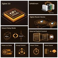 Interrupteur intelligent S-MATE Zigbee 3.0, relais détachable, taille plus petite, signal plus large, télécommande, système de maison intelligente Alexa, certifié CE/FCC