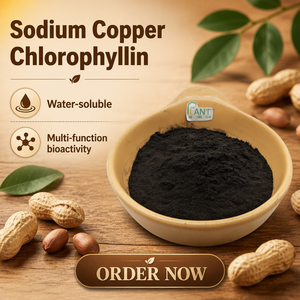 Poudre de Chlorophylline Naturelle Sodium-Cuivre <span class=keywords><strong>E141</strong></span> Qualité Alimentaire, Poudre de Chlorophylle, Extrait d'Alfalfa, Gouttes Liquides de Chlorophylle, Poudre Brute - Product Image 2