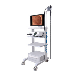 <span class=keywords><strong>Endoscope</strong></span> vétérinaire haute définition, caméra 12mm, pour animaux, grands et petits - Product Image 1