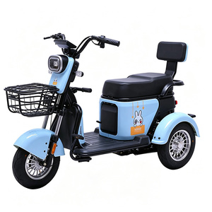 Tricycle électrique adulte 2 places avec panier, tricycle électrique pour passagers, capacité 200 kg - Product Image 2