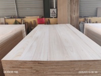 Prix de gros usine – Planche plate en bois de Paulownia 4x8 pour la construction