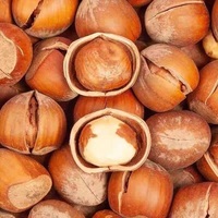 Matcha de qualité supérieure saveur noisette, très demandé, délicieuse poudre de matcha noisette pour la pâtisserie, avec emballage personnalisé