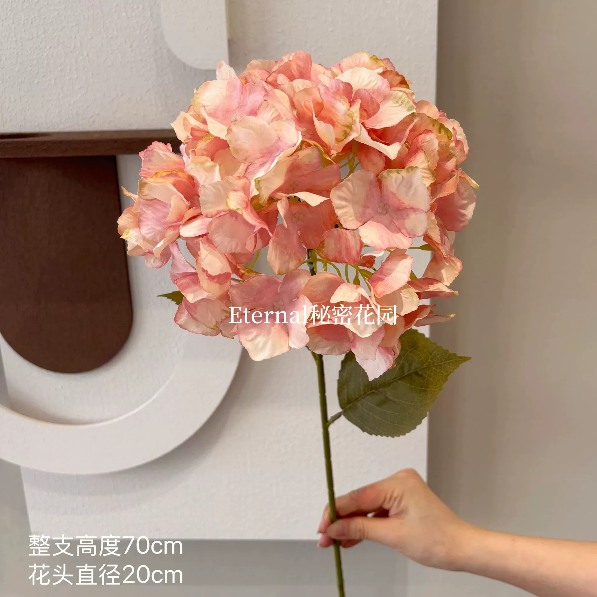 Hortensia Alice