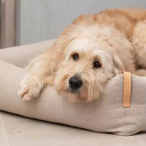 Cama para Perro de Diseño Desmontable de Alta Gama y Lujo, Rectangular, Ultra Suave, con Borde Reforzado, Acogedora y Lavable - Product Image 2