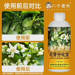Engrais liquide 300 ml pour la différenciation des bourgeons de fleurs chez les anciennes plantes fruitières et des melons - Trésor des huit anciens experts - Product Image 4