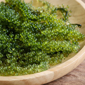 Algues de mer fraîches, caviar vert, algues de mer du Vietnam - Product Image 1