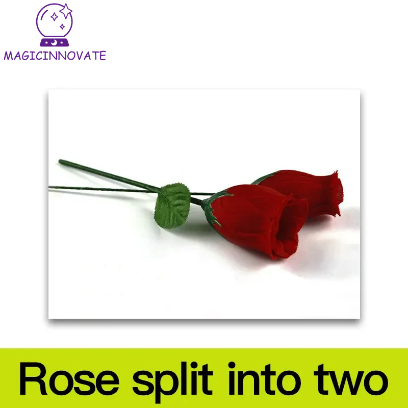 Dos rosas y una seda.