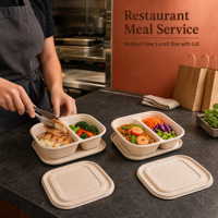 Suikerrietbagasse afhaallocaties met deksels, ovale gedeelde lunchboxen 500ml 700ml 1000ml voor warme maaltijdbezorging