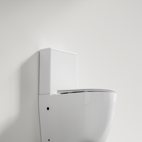 WC en céramique à poser au sol avec abattant à fermeture douce, double chasse, chasse Tornado monotrou, installation S/P Trap