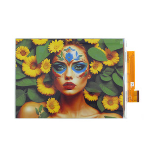 13.3นิ้วความอิ่มตัวสูงสีเต็มรูปแบบ epaper โมดูลจอแสดงผล (E Ink Spectra 6) ขนาดใหญ่ GDEP133C02 - Product Image 1