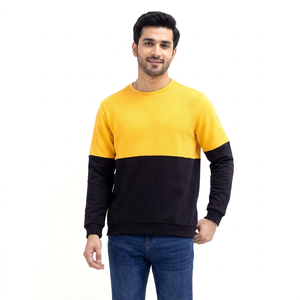 Nouvelle usine logo personnalisé couleur unie 100% coton sweat à capuche en gros hommes top vente OEM ODM DDP expédition séchage rapide - Product Image 1