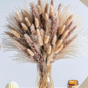 Bouquet de pampas séché naturel et écologique, moelleux, longue durée, véritable décoration de maison, mariage, fête des mères, Pâques - Product Image 6