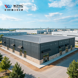 Nave Industrial Prefabricada con Estructura de Acero de Alta Resistencia OEM, Proceso de Instalación Rápido, Logística Eficiente, Taller, Gimnasio - Product Image 1