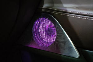 Copertura dell'altoparlante della porta posteriore anteriore di alta qualità della copertura dell'altoparlante della luce ambientale luminosa Audio per la copertura della serie BMW 7 G11 G12 - Product Image 5