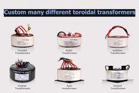 Transformador Toroidal de 3000W 110V 220V con Bobinado de Cobre Puro para Inversores Solares y Amplificadores