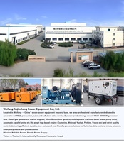 Générateur diesel super silencieux Weifang Ricardo 100 kVA 80 kW, alternateur Stamford, démarrage à distance, courant continu 50 Hz, triphasé, refroidissement par eau