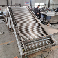 Bosbessen sorteermachine, fruit sorteermachine, kersentomaat, ui sorteermachine, appel, citrus, ui selectiemachine, avocado fruit sorteermachine