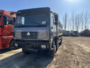 Camion léger diesel Howo 8x4 Euro 2, nouveau camion benne minier 10 roues, capacité de charge 11-20T, direction à gauche, caméra arrière, 251-350HP, 6-8L - Product Image 4