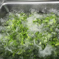 Industriële Fruitgroente Wasmachine Bladgroente Wasmachine Aardappel Reinigingsmachine