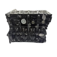 In Stock Brand New Mercedes OM651 Engine Cylinder Short Blocks Diesel Motor for Benz OM 651 W212 Sprinter 6510100401 Auto Parts