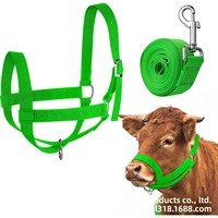 Fournitures équestres : Licol et longe réglables pour chevaux, corde de traction