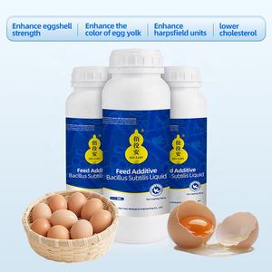 Bio <span class=keywords><strong>Hens</strong></span> en çok satan yeni sıvı Bacillus Subtilis tavuk döşeme için yumurta üretimini verimli bir şekilde katmanı - Product Image 2