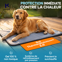 Tapis rafraîchissant pour animaux de compagnie, nouvelle version, non toxique, auto-refroidissant, personnalisable en gros, pour chiens de toutes tailles