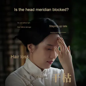 Peigne masseur multifonctionnel en laiton à dents larges avec petit nez d'oeil de dauphin Caractéristiques Produit de massage des méridiens de la tête - Product Image 3