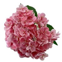 176 potong anggun Hydrangea Set bunga buatan tangan High-End merasa realistis bunga palsu untuk ruang tamu