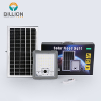 Lampu Sorot Tenaga Surya Tipe Split dengan Cangkang Aluminium, Tahan Air IP65, Kontrol Jarak Jauh, Kontrol Aplikasi, Sumber LED, 3000K 6500K