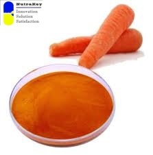 天然β胡萝卜素1%粉末 |   天然食品色素和维生素A前体 |   适合素食主义者，非转基因 - Product Image 4