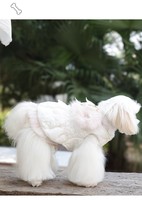 Robe d'hiver de luxe mignonne en dentelle pour animaux de compagnie, avec nœud, vêtements doux pour petits chiens, anti-chute de poils pour Bichon, vente en gros, logo personnalisé