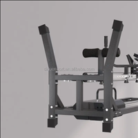 Appareil de musculation Flying Bird Trainer en métal pour tirage vertical, exercices de musculation du dos, usage en club, pliable et durable