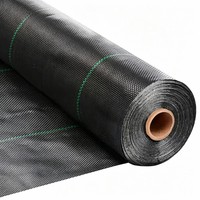 Toile de paillage en polypropylène haute résistance, perméable et respirante, offrant des effets fiables pour la culture des cultures agricoles