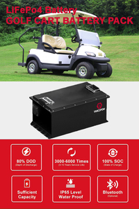 Batterie au lithium fer phosphate 51,2 V 210 Ah pour voiturette de golf, légère, longue durée de vie, cycle profond, rechargeable - Product Image 2