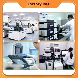 สารสกัดจากเมล็ดอันเจลิกา ซิเนนซิส ชนิดผง เกรดอาหาร สำหรับใช้ในด้านสุขภาพ - แบรนด์ OEM บรรจุภัณฑ์สุญญากาศ - Product Image 5