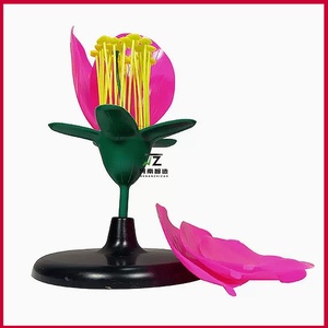 Modèle de pivoine, étamines et pétales, agrandis, modèle d'anatomie structurelle, outil pédagogique pour les manuels de biologie - Product Image 2